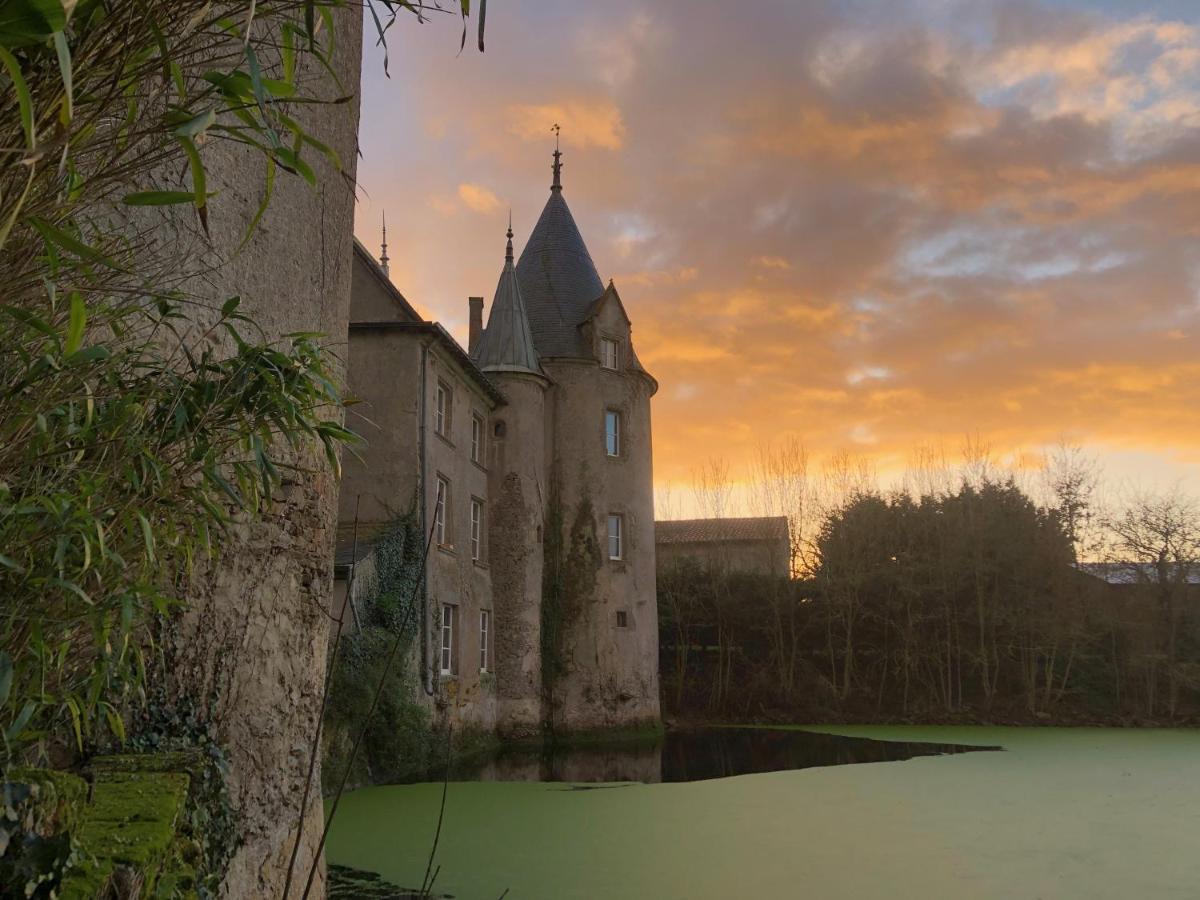 Chateau De La Preuille Bed & Breakfast Montaigu-Vendee Buitenkant foto