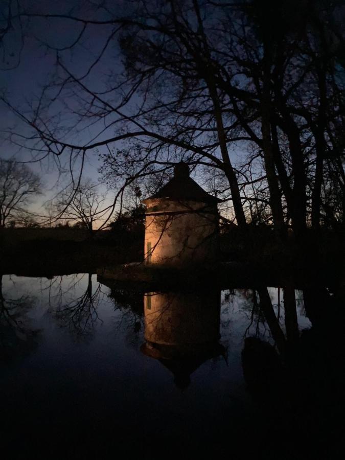 Chateau De La Preuille Bed & Breakfast Montaigu-Vendee Buitenkant foto